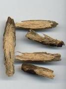 Glycyrrhiza uralensis 